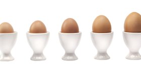 picture for article egg size management__.jpg