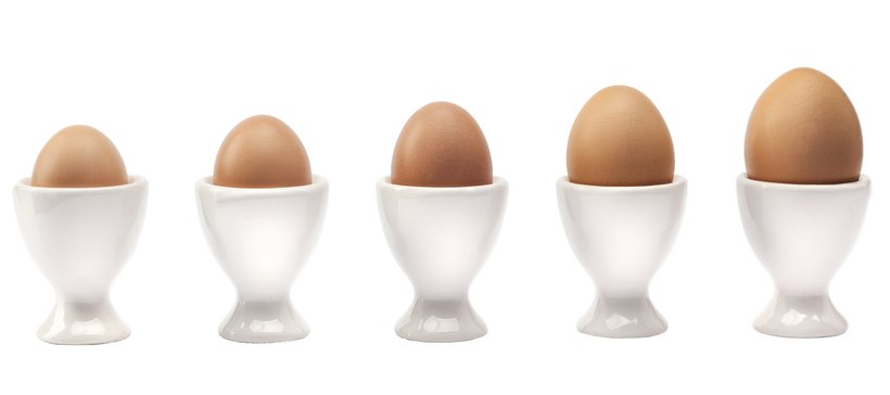 Adjusting egg size to market needs