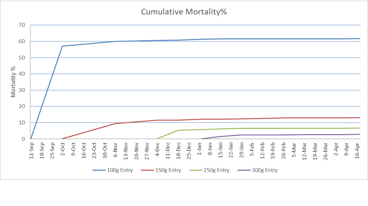 saltwater article-cu7mulative mortality graph.png
