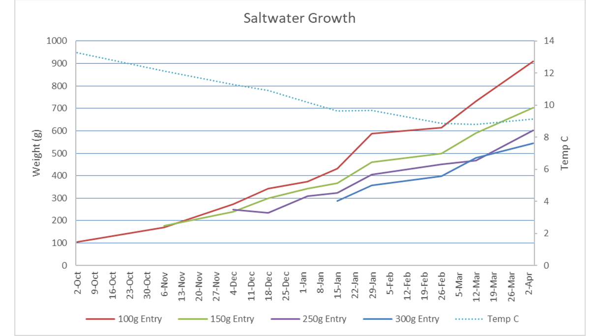 saltwater article-saltwater growth graph.png