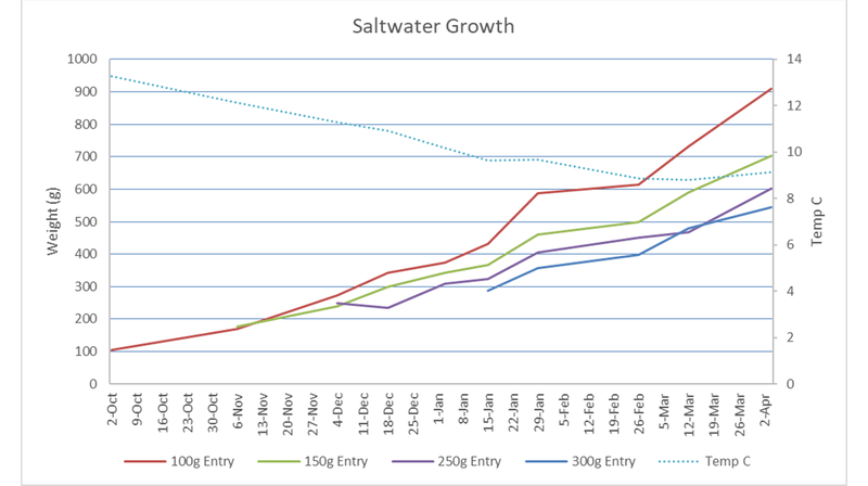 Curva de crecimiento del agua de mar para cada cohorte y perfil de temperatura.