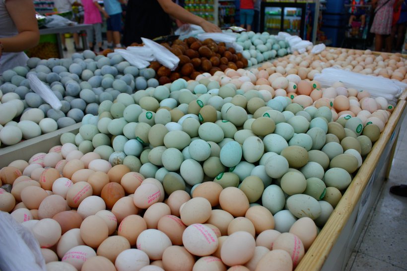 China’s Evolving Egg Breeder Market: Challenges and Opportunities