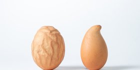 shutterstock_1899761152