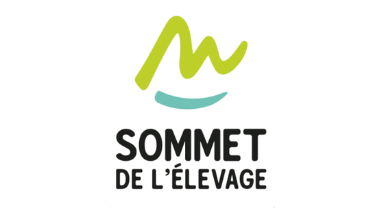 sommet_1