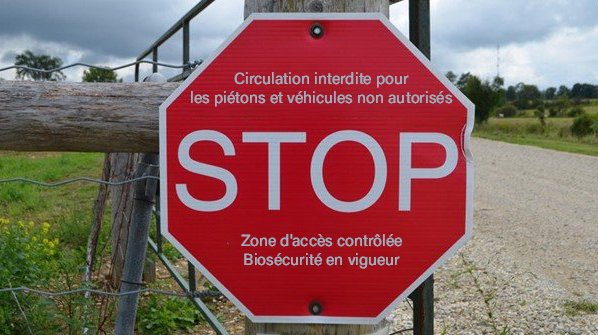 Stop sign french version