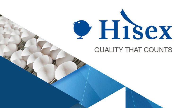 Hisex Website Launch
