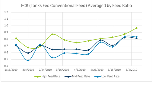 Shows average FCR for each feed regime. Excludes tank B2 due to mass mortality event.