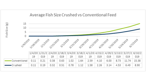 growth fish average fish size crushed