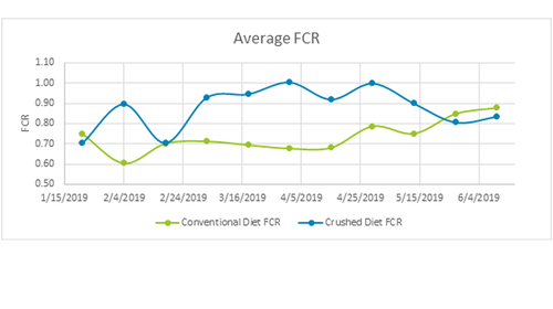 average fish fcr