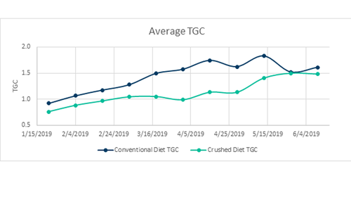 Standart diyetle beslenen tanklar ve ezilmiş bir diyetle beslenen tanklar için ortalama TGC&#x27;yi gösterir.
