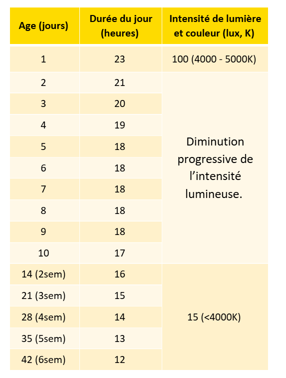 tableau lumière_chick placement