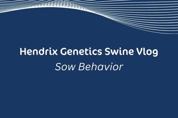 thumbnail sow behavior