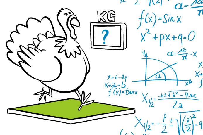 Seven mathematicians, five days – one turkey body weight challenge