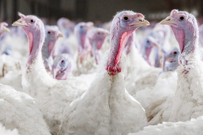 Selecting the Right Product for Your Farm