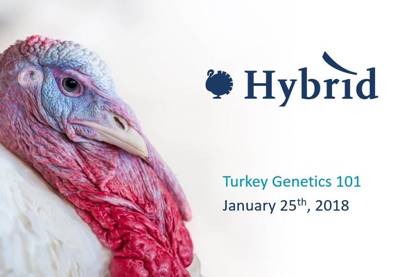webinar_turkey_genetics.JPG