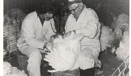 turkey workers february 1976