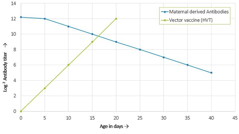 vaccinations chart.JPG