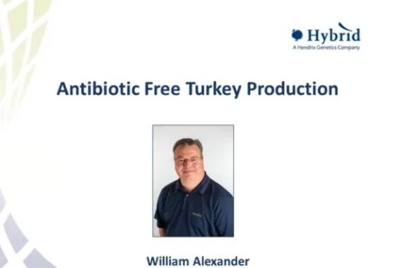 webinar_antibiotic_free.JPG