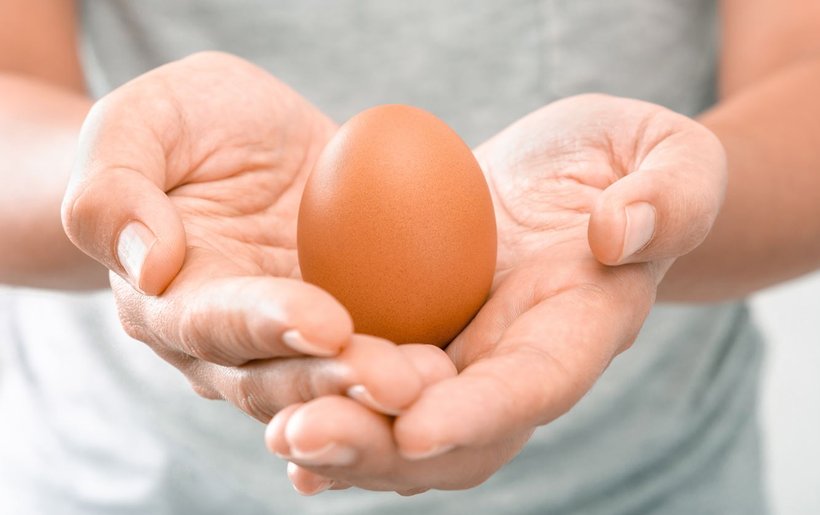 The Eggceptional egg, nutritional facts and figures