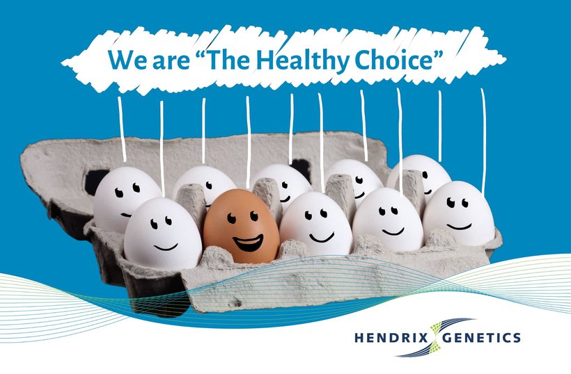 From Misunderstanding to Recognition: Eggs Officially Deemed Healthy