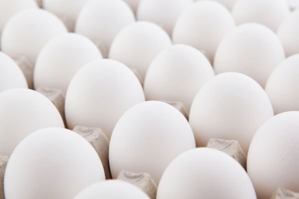 Optimizing hatching egg management