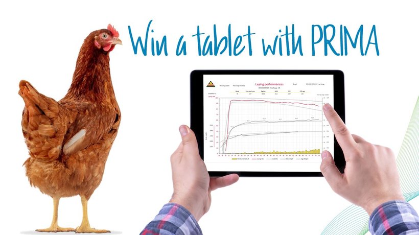 Get active on PRIMA and win a Tablet!