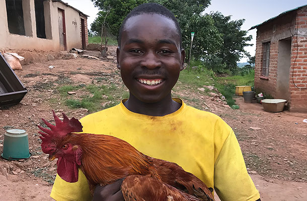 Africa | Sasso Poultry