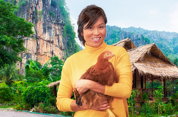 Asia | Sasso Poultry